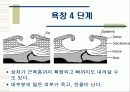 욕창관리 및 예방 15페이지