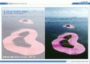 대지미술(Land Art) 9페이지