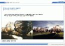 대지미술(Land Art) 10페이지
