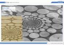 대지미술(Land Art) 17페이지