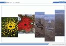 대지미술(Land Art) 25페이지