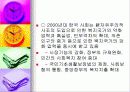 사회복지행정의 역사 16페이지