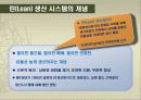 도요타의 린lean생산방식,적용의 전제조건 6페이지
