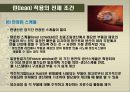도요타의 린lean생산방식,적용의 전제조건 20페이지