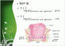 [기본간호] 장배설 5페이지