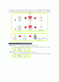 실험보고서(황산화물-중화) - 황산화물(SOx) 측정 중화 적정법 4페이지