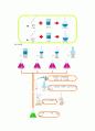 실험보고서(황산화물-중화) - 황산화물(SOx) 측정 중화 적정법 5페이지