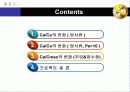 지하수오염공학-주입정으로부터의 이류분산 프로젝트 3p Simulation 2 2페이지