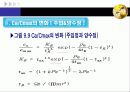 지하수오염공학-주입정으로부터의 이류분산 프로젝트 3p Simulation 2 10페이지