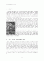 한국의 반공(反共)의 기원 2페이지
