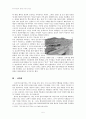 한국의 반공(反共)의 기원 5페이지