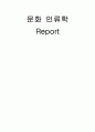[문화 인류학] 주혼 1페이지