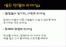 넬슨 만델라의 리더십 20페이지