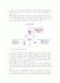 [전시회] 전시마케팅 전략 12페이지