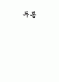 두통 1페이지