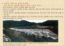 소석원 (小石園／Soseokwon) 10페이지