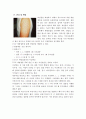 파상풍 4페이지