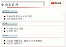 농심마케팅 28페이지