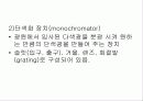 Beer - Lambert 법칙 유도 17페이지