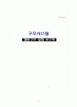 구조시스템레포트 1페이지