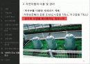 타마뉴타운,라이브나가이케 49페이지