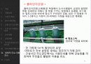타마뉴타운,라이브나가이케 55페이지