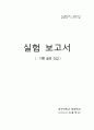 기초광학실험 - 이중 슬릿 간섭 1페이지
