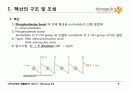 9.+핵산(Nucleic Acids) 9페이지