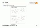 9.+핵산(Nucleic Acids) 12페이지