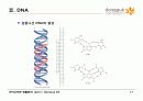 9.+핵산(Nucleic Acids) 17페이지
