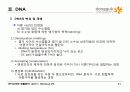 9.+핵산(Nucleic Acids) 21페이지