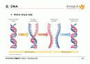 9.+핵산(Nucleic Acids) 23페이지