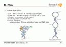 9.+핵산(Nucleic Acids) 29페이지