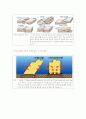 환경재료- 자연 재해에 있어 피해를 최소화 하는 재료기술 2페이지