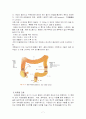 결장암 case 7페이지