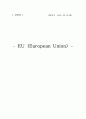 EU 1페이지
