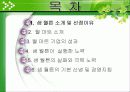 세계 최대의 유통업체 월 마트(Wal-Mart) 창립자 샘 월튼((Samuel moore Walton)) 2페이지