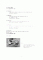 국수의 기원,  종류 및 제조과정의 변천사 5페이지