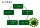 유기농 화장품, 사업 경영 전략, 강점, 유통과정 5페이지