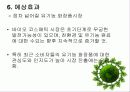 유기농 화장품, 사업 경영 전략, 강점, 유통과정 8페이지