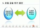 유럽 재정 위기 3페이지