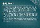 신체와 미술 - 손과 발의 해부학 2페이지