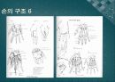 신체와 미술 - 손과 발의 해부학 7페이지