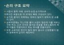 신체와 미술 - 손과 발의 해부학 8페이지