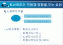 타당도와 신뢰도 31페이지