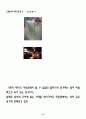 사업계획서(테이크 아웃 전문점) 13페이지