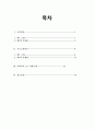 국민연금과 기초노령연금제도 2페이지