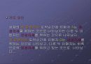 남자 높이뛰기  마지막 3보와 발구름 동작의 운동학적 분석 20페이지