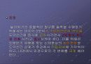 남자 높이뛰기  마지막 3보와 발구름 동작의 운동학적 분석 21페이지