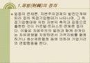 한국재벌의 정의 및 특징과 실태 조사분석 4페이지